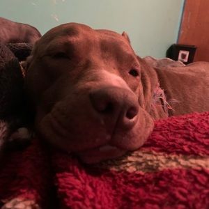 Meet your Posher, Angel